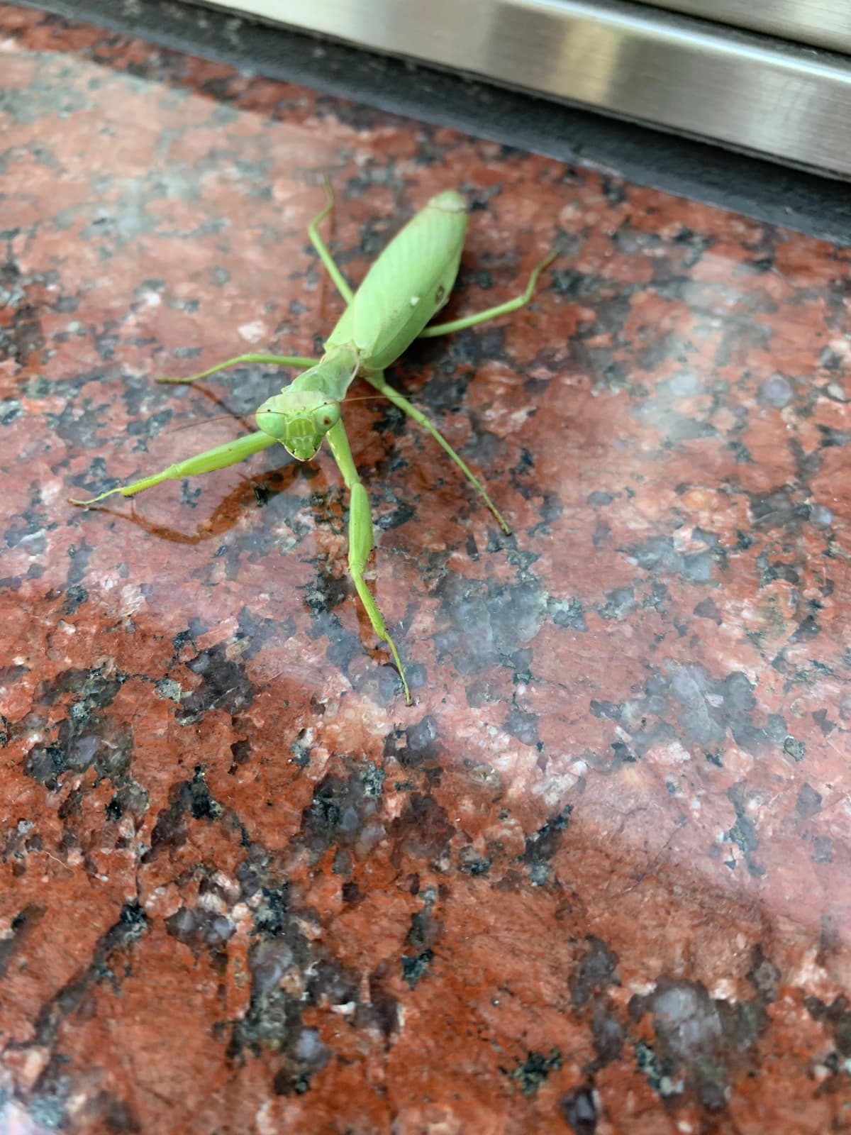 チャコファミリーダンススタジオ バレエ 本郷教室のサムネイル画像 4