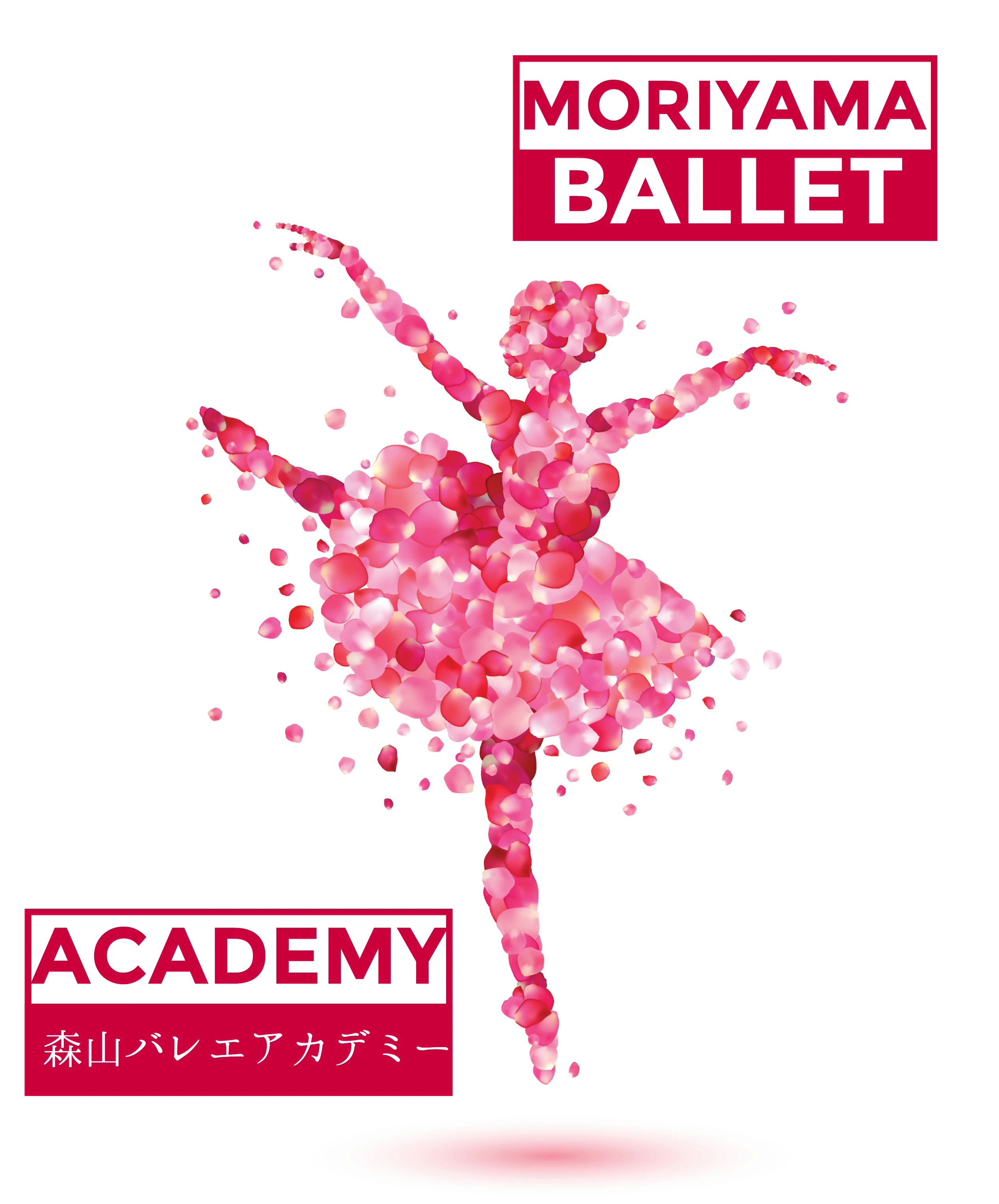 森山バレエ 住吉町教室のメイン画像