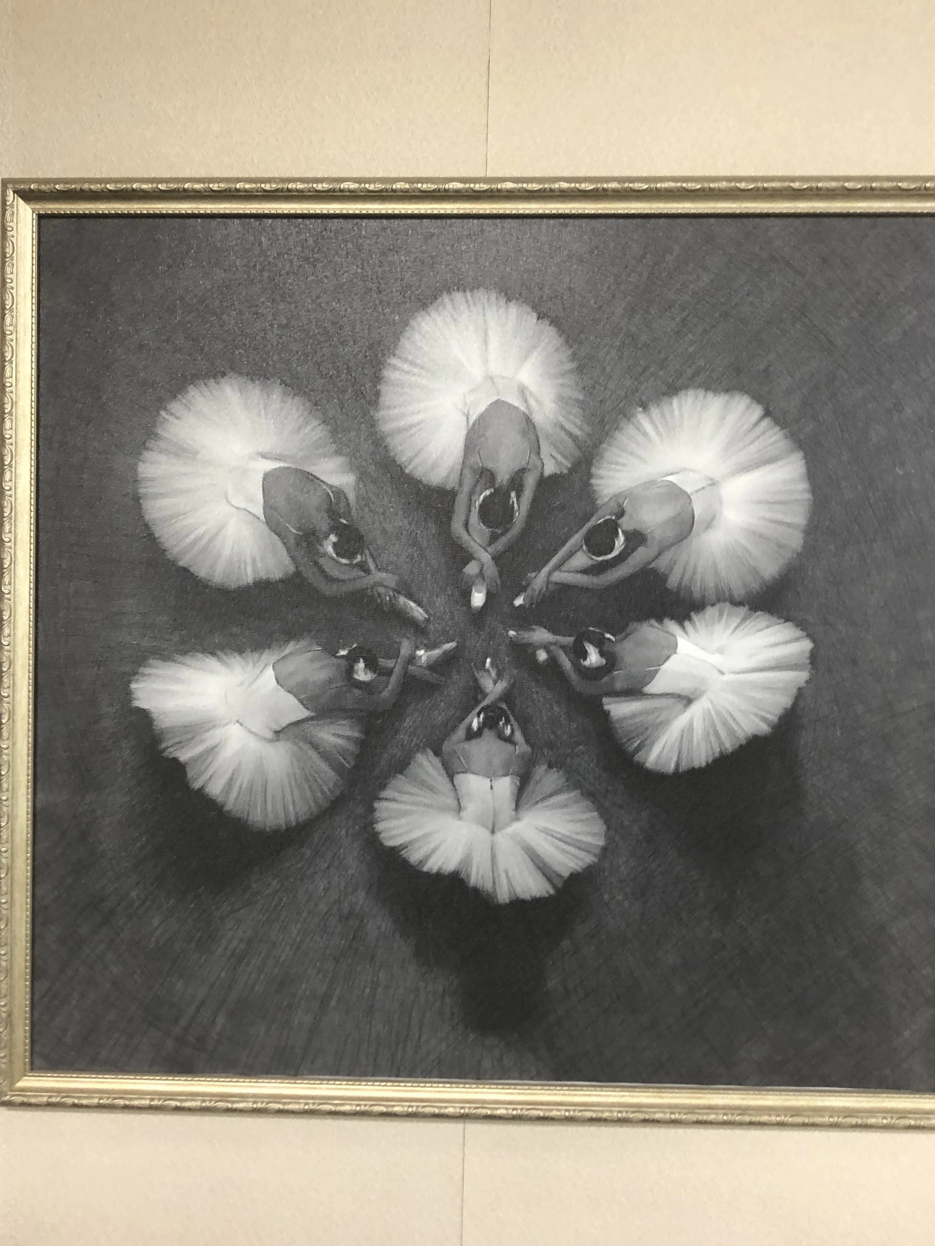 ソフィア・バレエ・アカデミー 国分寺スタジオのメイン画像