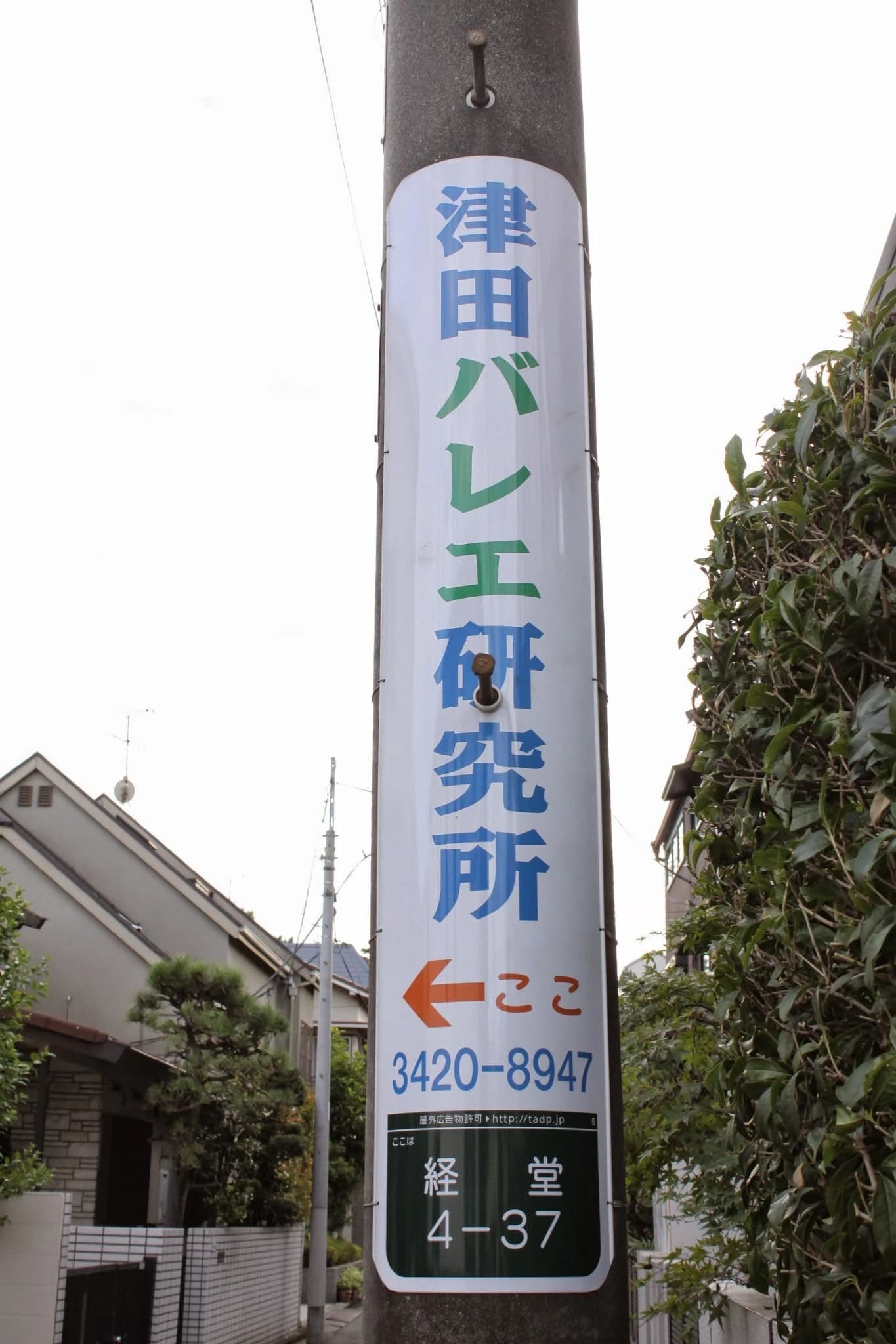 津田洋子バレエ研究所 経堂教室のサムネイル画像 2