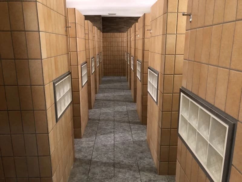 RENAISSANCE バレエ 国立24 画像 25