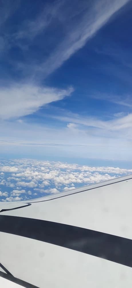 N&Nバレエアカデミー 明神教室 画像 19