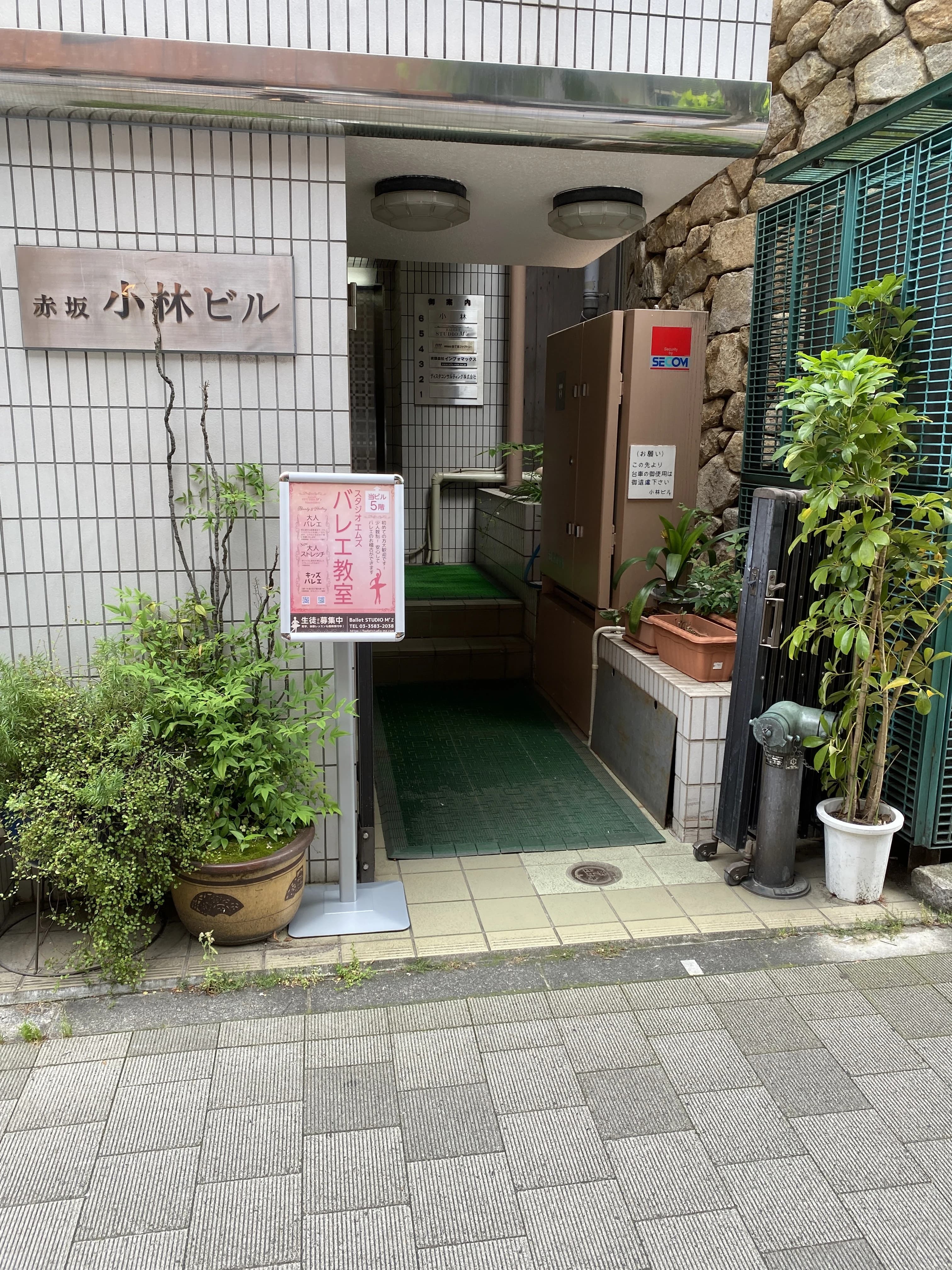 M'z(エムズ) バレエ 赤坂教室のサムネイル画像 3