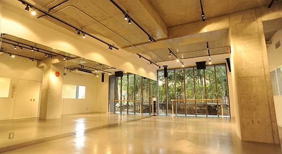 NATURE BODY HOUSE(ネイチャーボディハウス) バレエ 赤坂教室のサムネイル画像 4