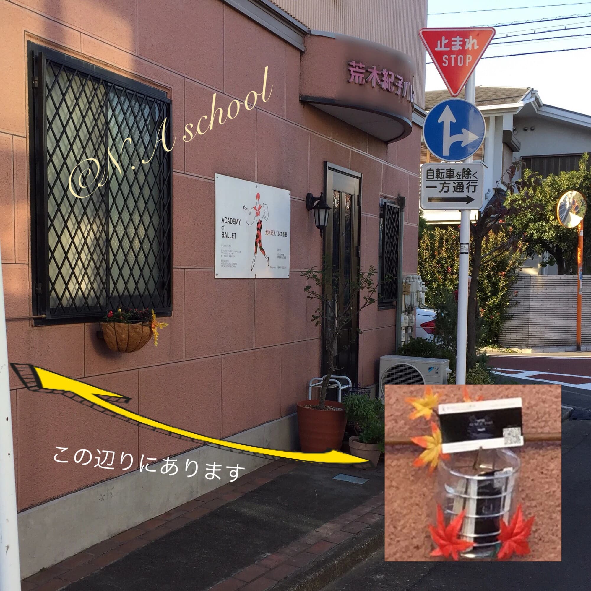 荒木紀子バレエ教室 中村教室のサムネイル画像 4