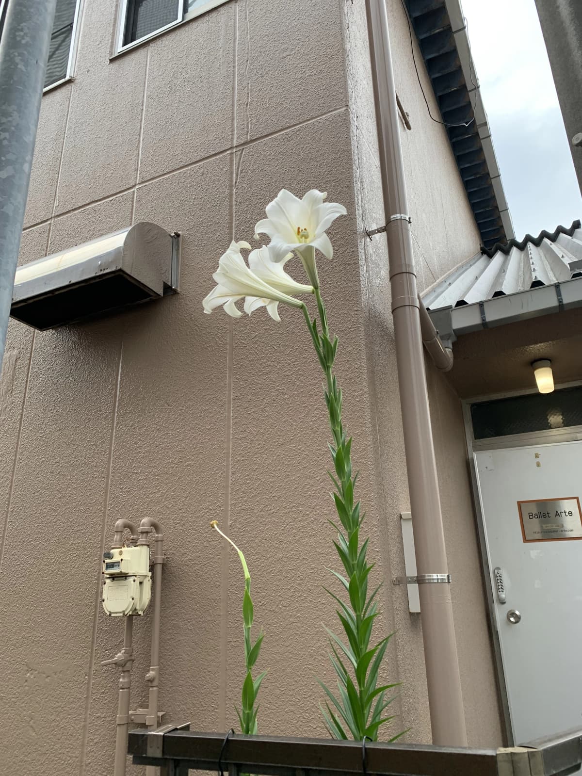 サムネイル画像 6