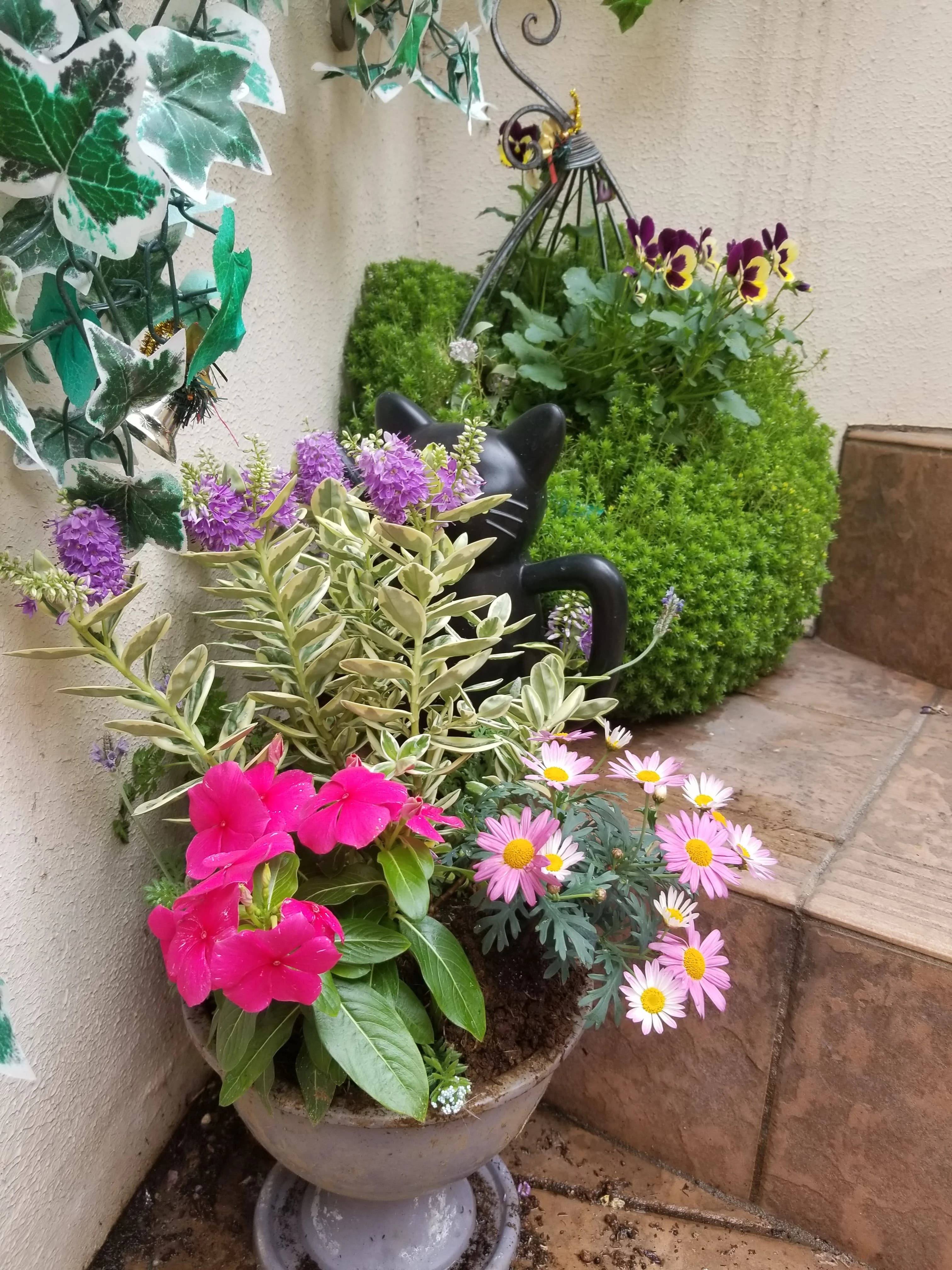 Yamate Ballet House(山手バレエハウス) 仲尾台教室のサムネイル画像 2