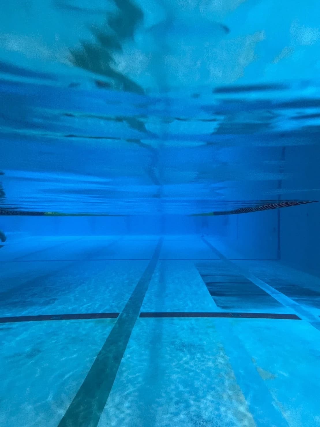 サンフラワースイミングスクール 画像 16