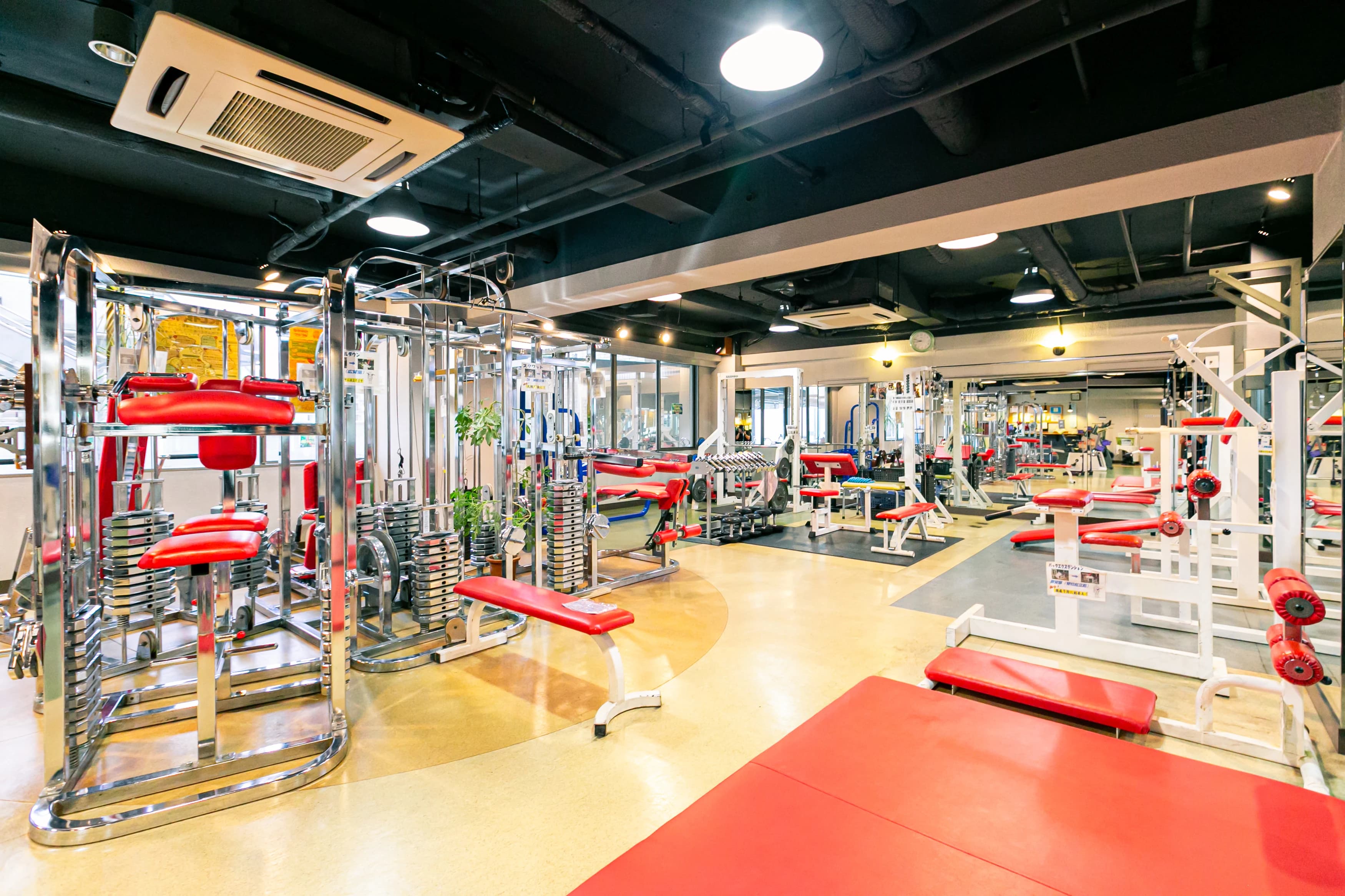 星の子スイミングスクール バレエ 中立売智恵光院裏門東入多門教室のサムネイル画像 3