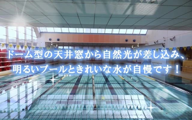 星の子スイミングスクール バレエ 中立売智恵光院裏門東入多門教室 画像 7