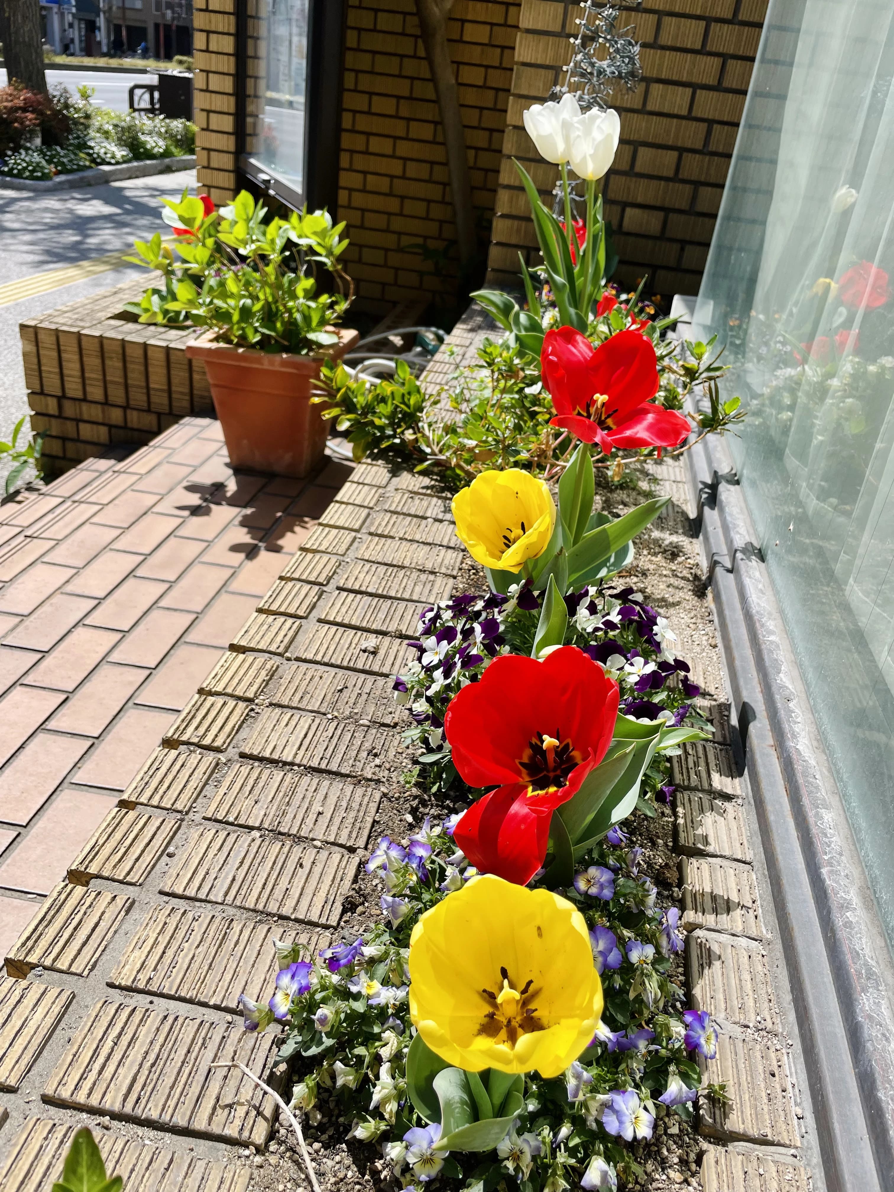 Komori Michiko Ballet(古森美智子バレエスタジオ) 舞鶴教室のサムネイル画像 5