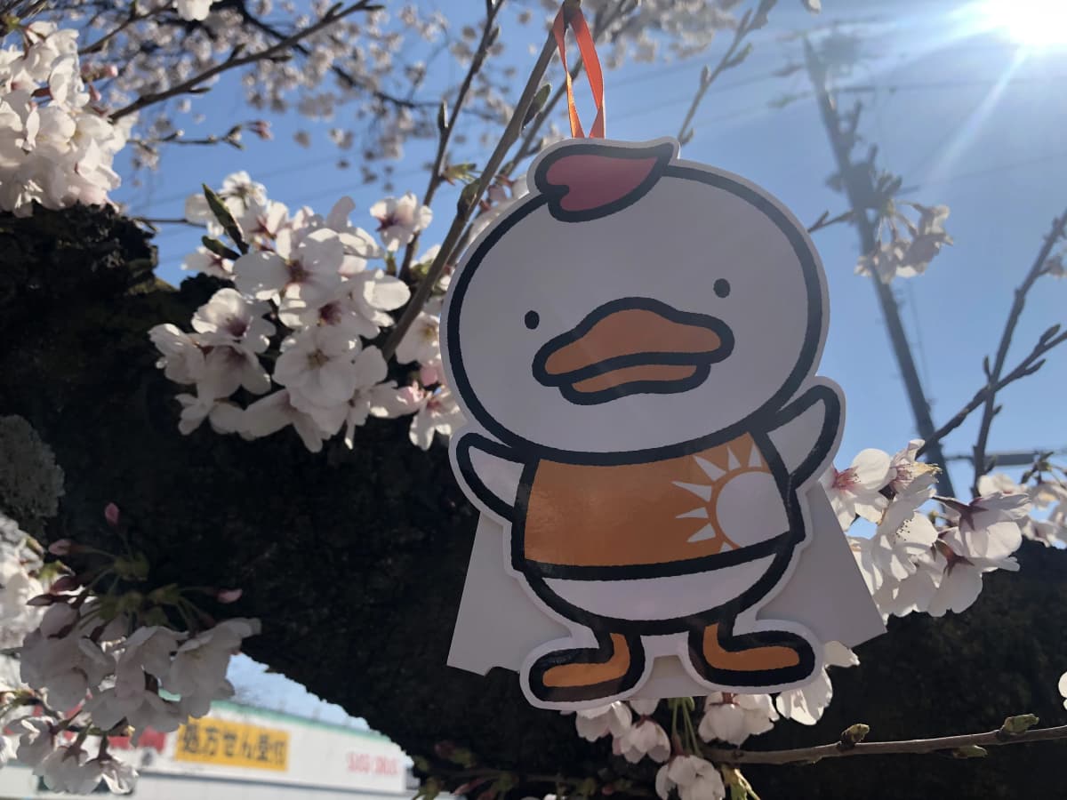 サムネイル画像 5