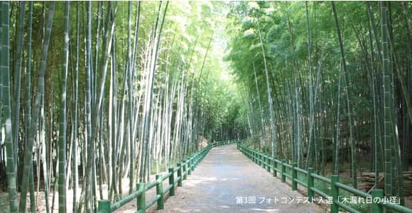 植田ファイターズ 野球 牧野ヶ池緑地のメイン画像