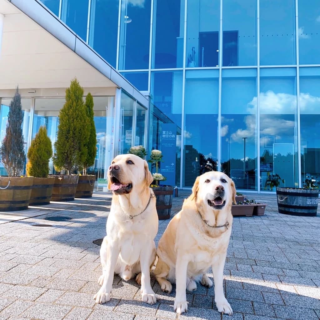 御殿場ファイターズ 野球 御殿場西高等学校 画像 20