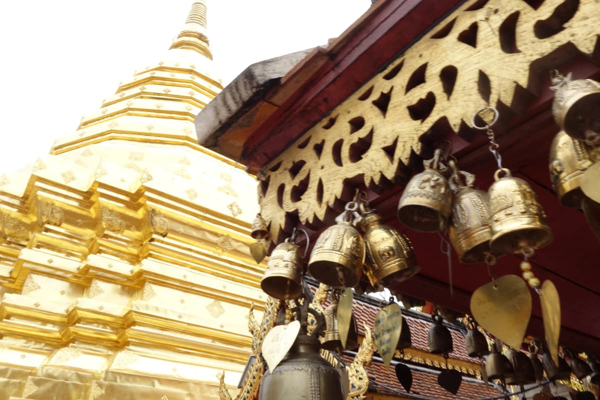 御殿場ファイターズ 野球 御殿場西高等学校 画像 23