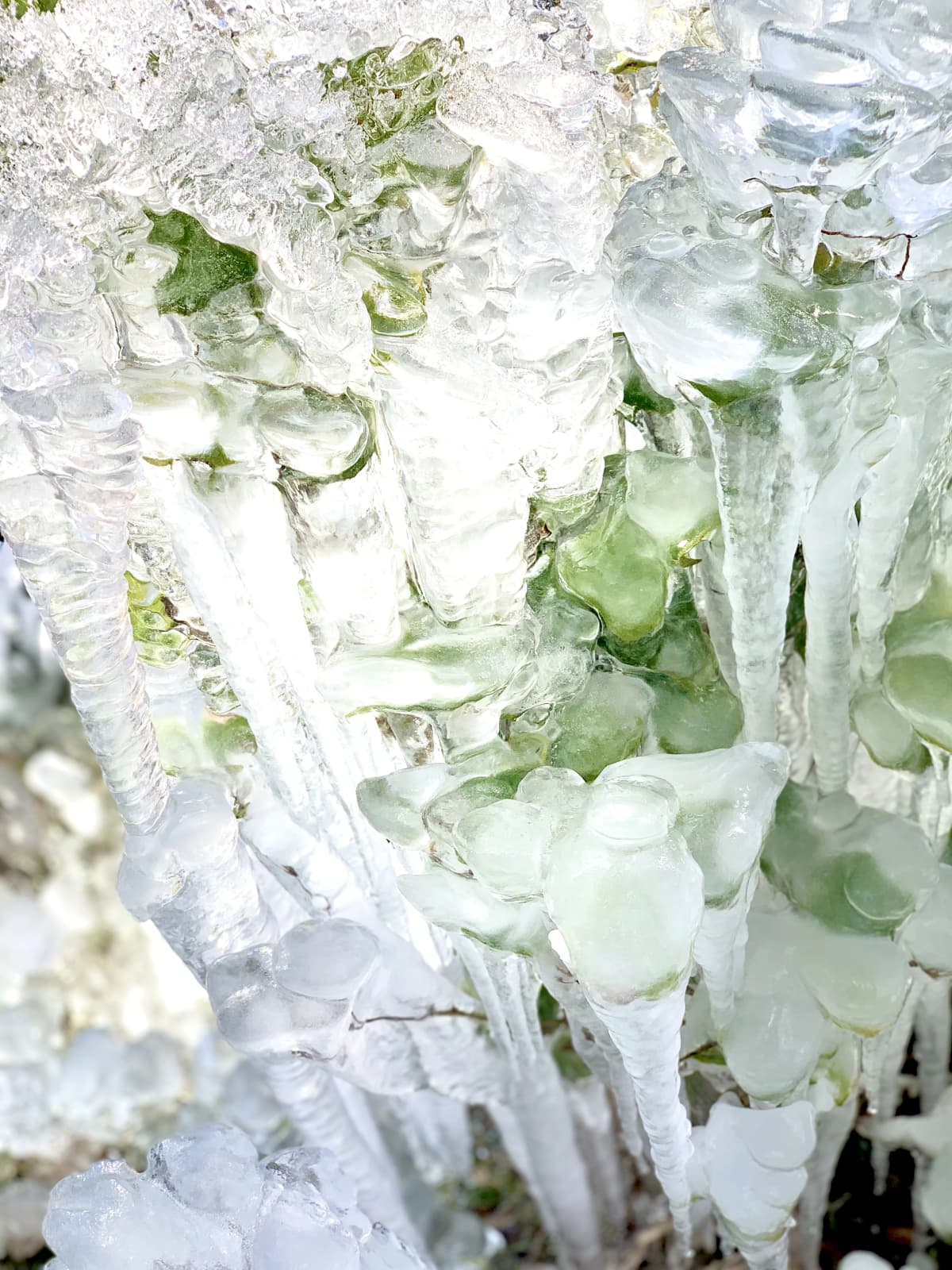 御殿場ファイターズ 野球 御殿場西高等学校 画像 25