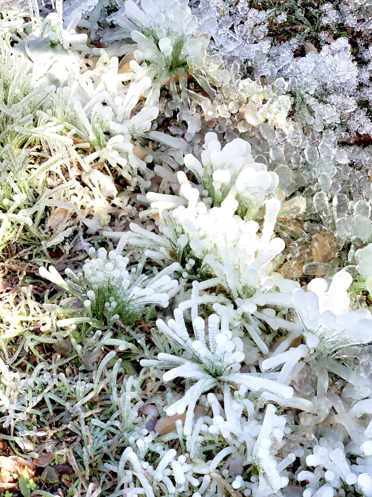 御殿場ファイターズ 野球 御殿場西高等学校 画像 26