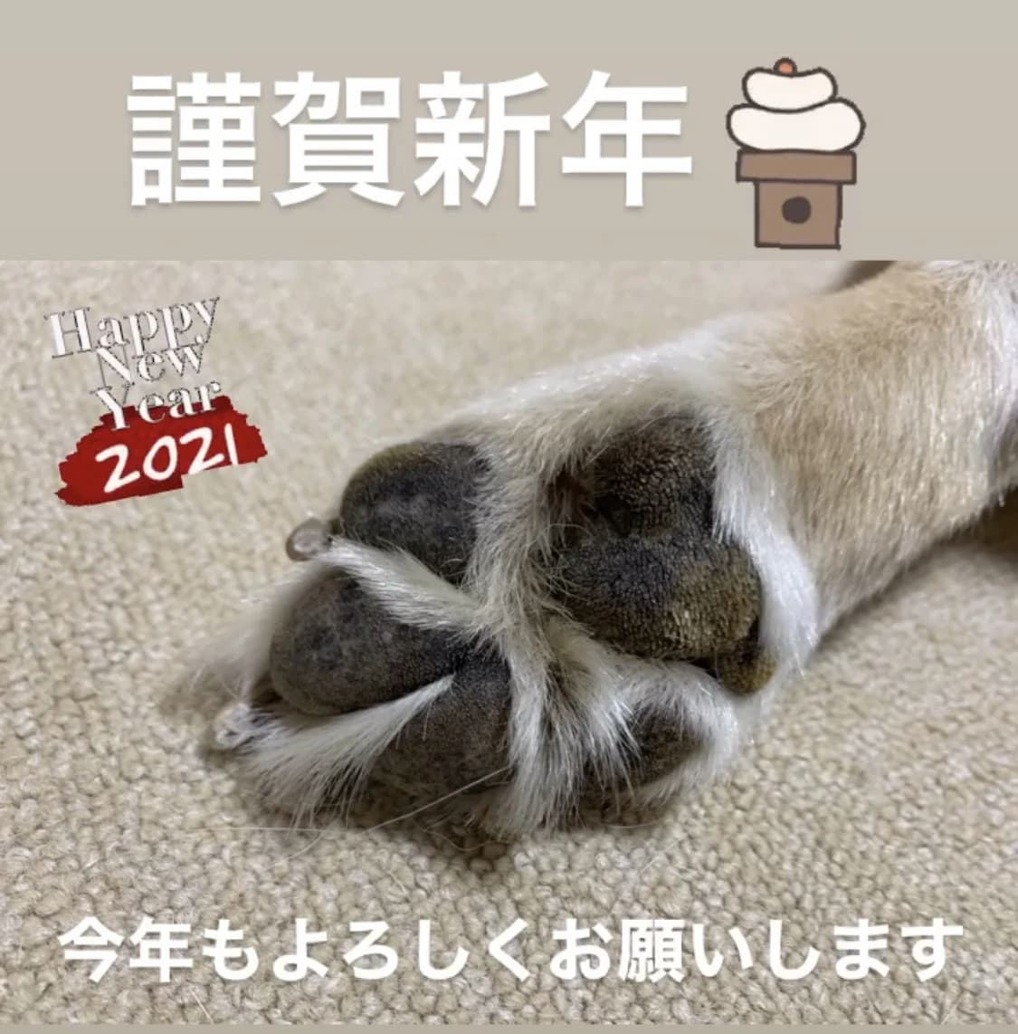 御殿場ファイターズ 野球 御殿場西高等学校のサムネイル画像 3