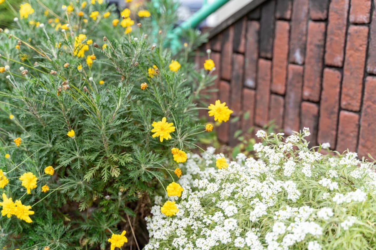 サムネイル画像 4