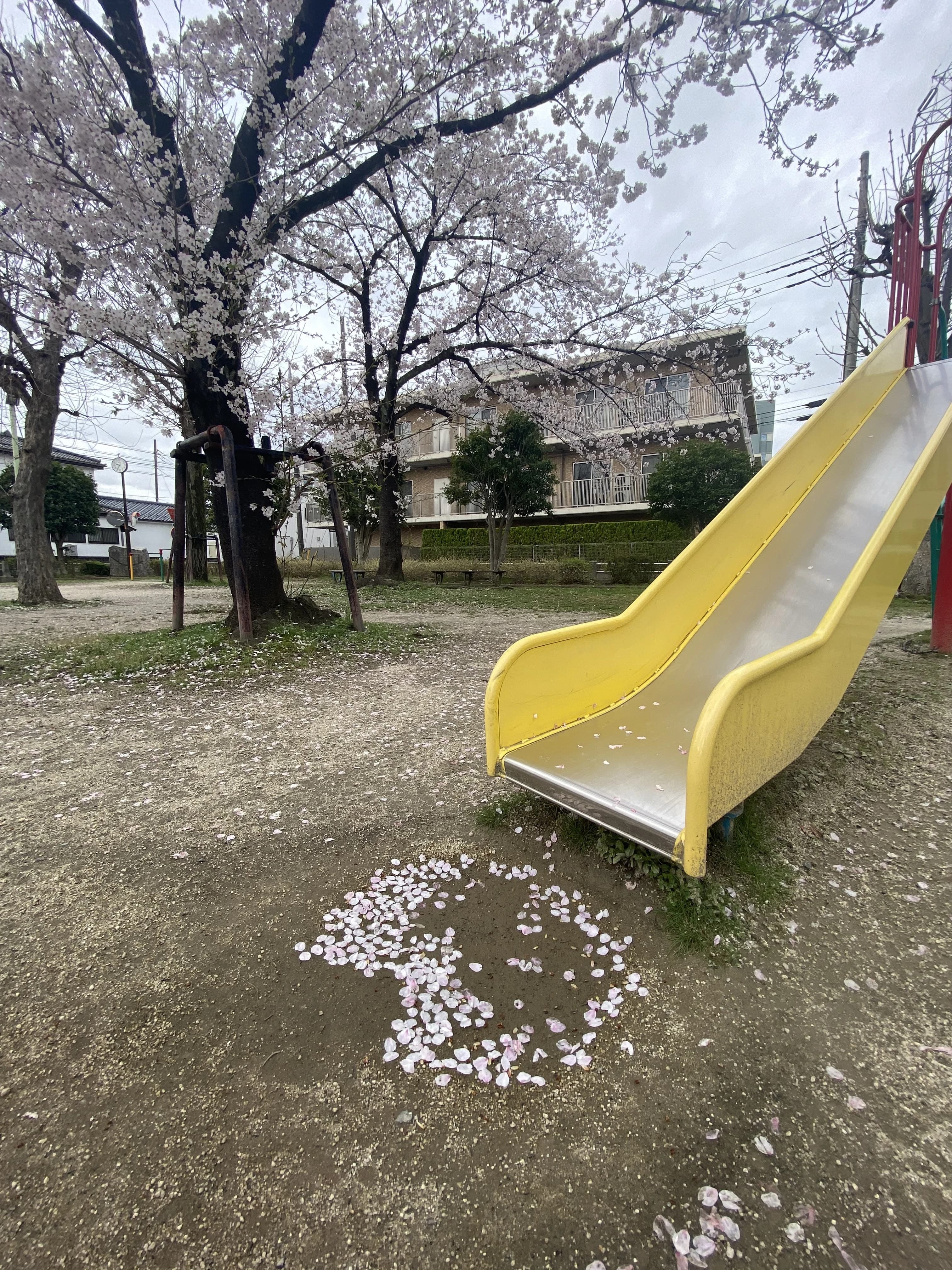 七田式鳩ケ谷教室のサムネイル画像 5