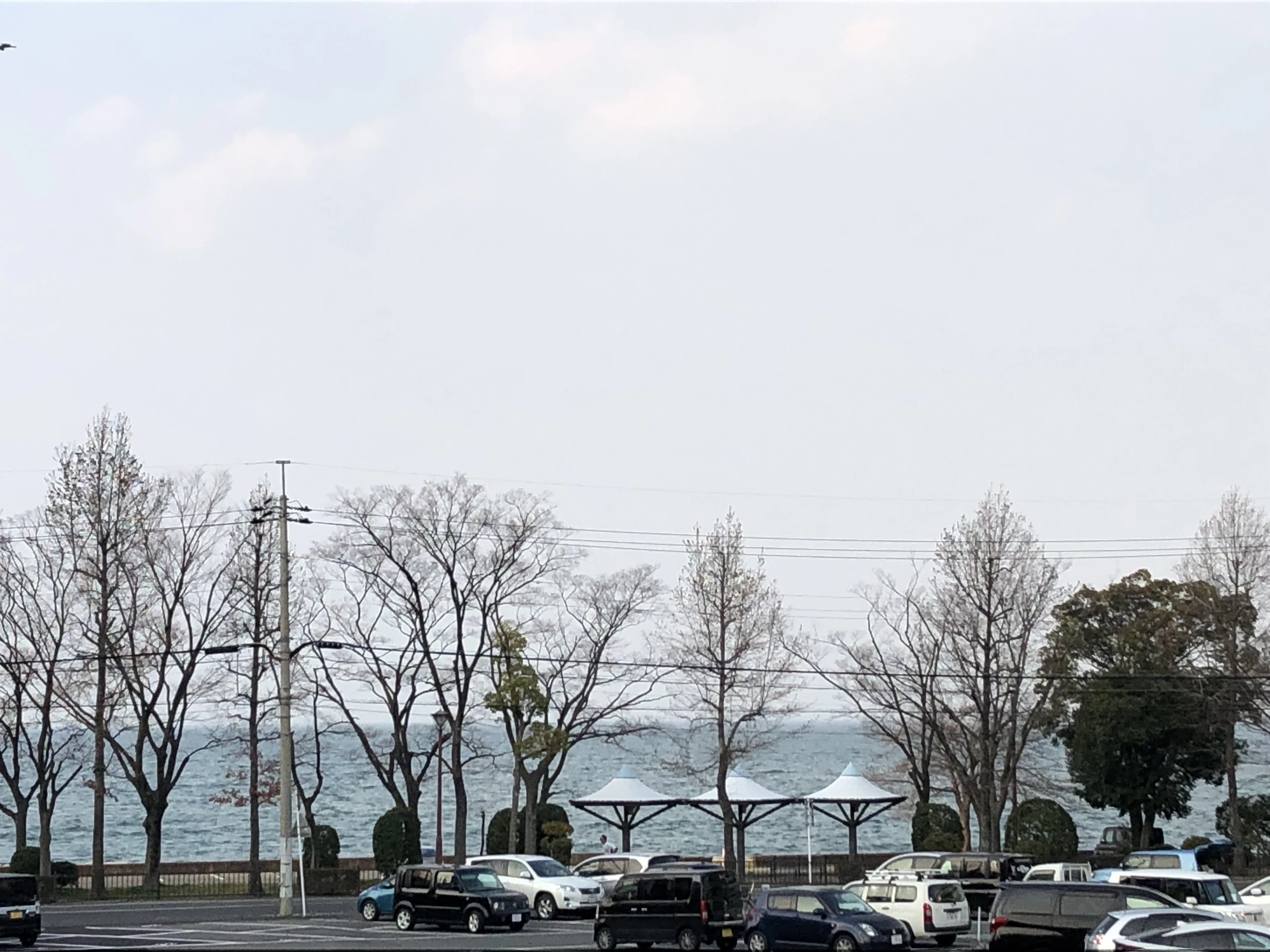 七田式びわ湖大津教室のサムネイル画像 3