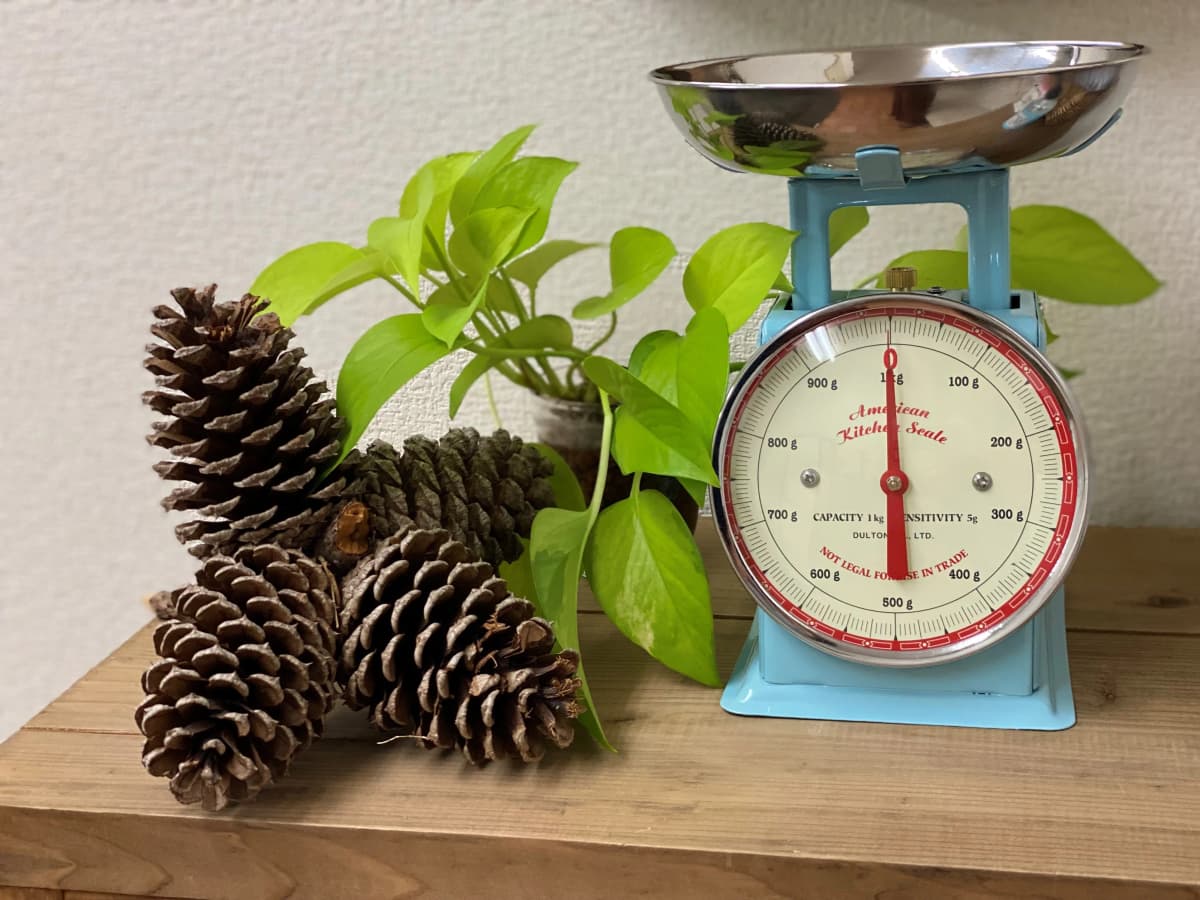 サムネイル画像 6