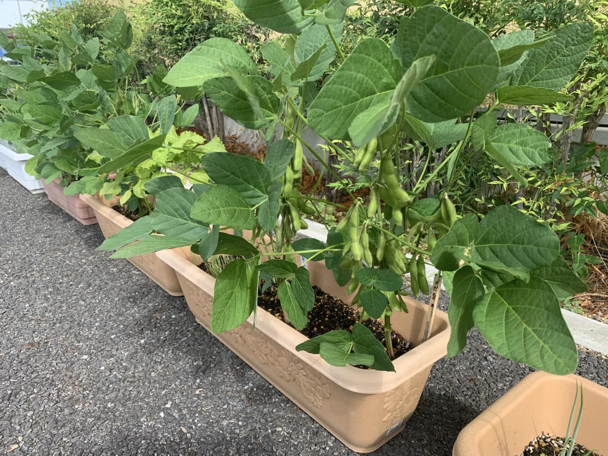 サムネイル画像 3