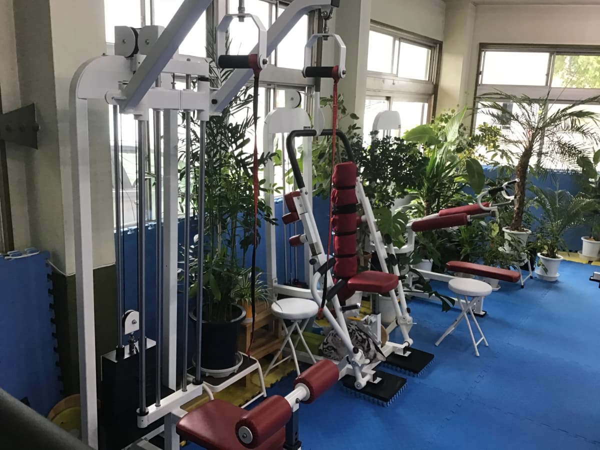 サムネイル画像 6