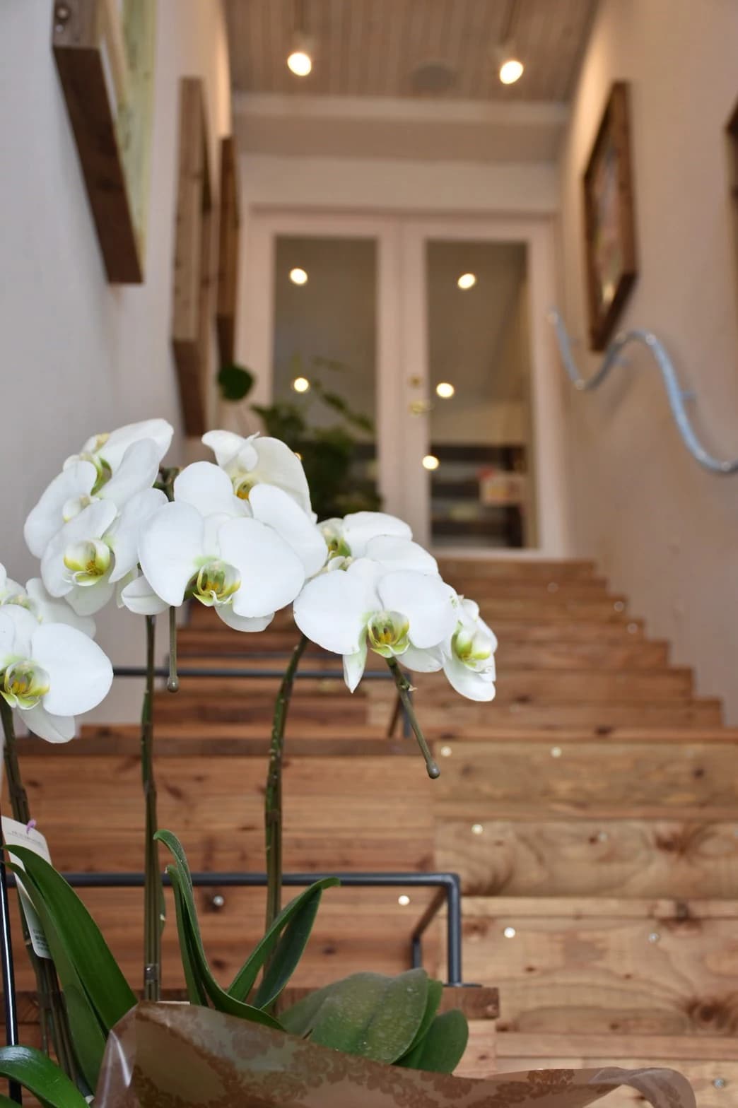 Linoty(リノティ) ダンス 仲町台教室のサムネイル画像 5