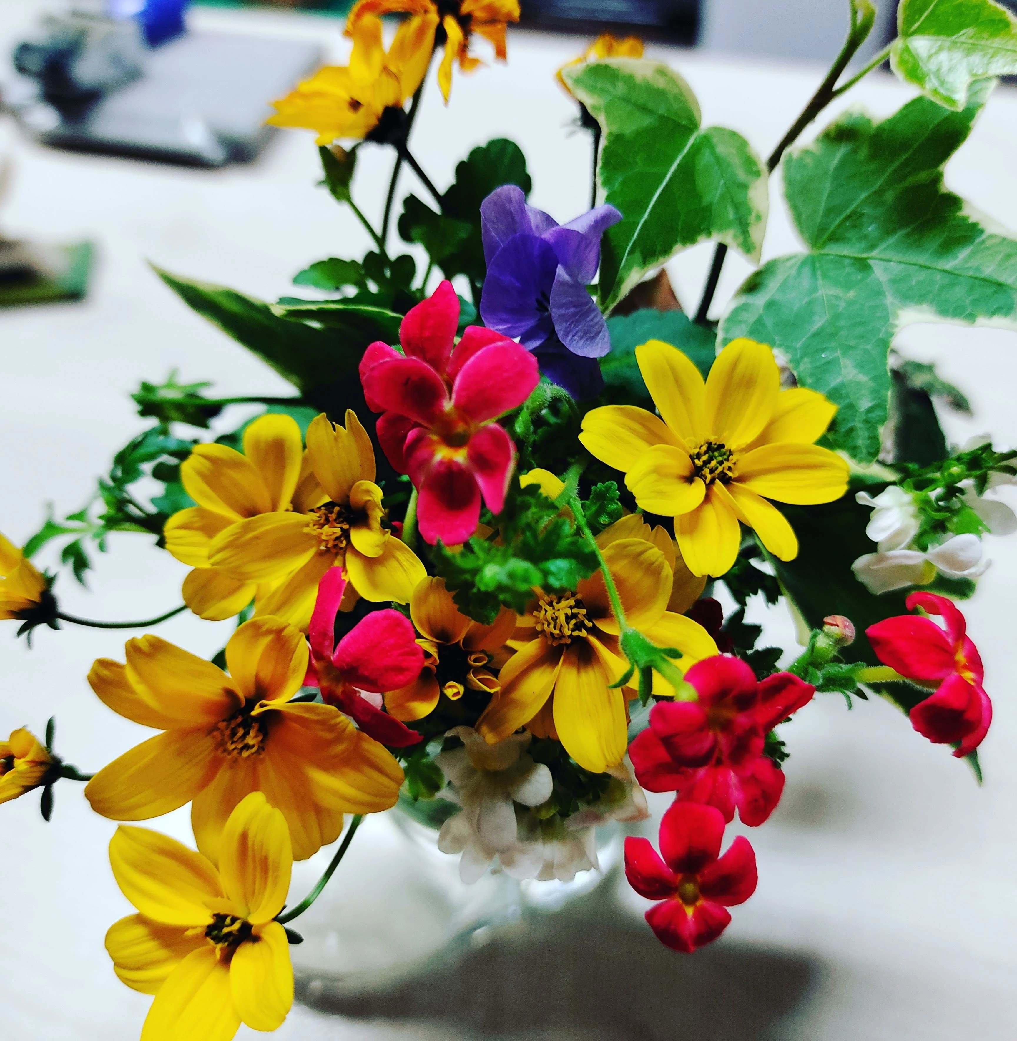 冨田かおるダンススクール　　　所沢バレエ教室のサムネイル画像 4