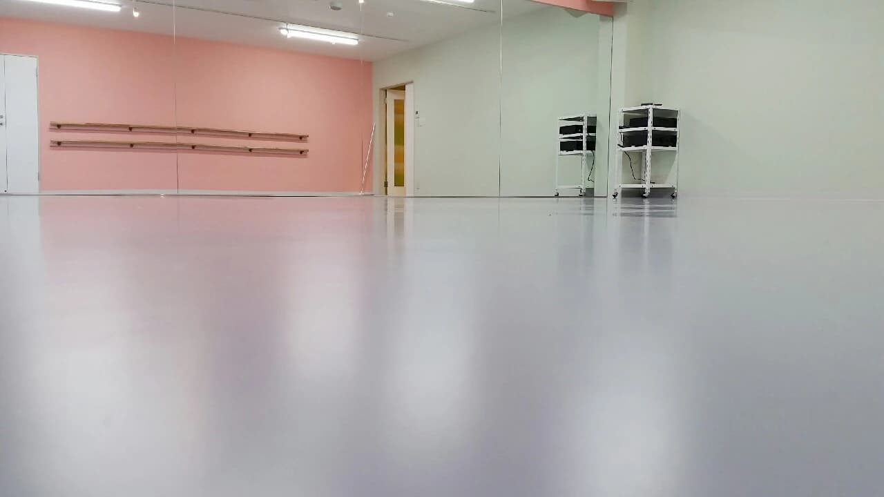 Arry's Dance Company(アリーズダンスカンパニー) 花崎町教室 画像 9