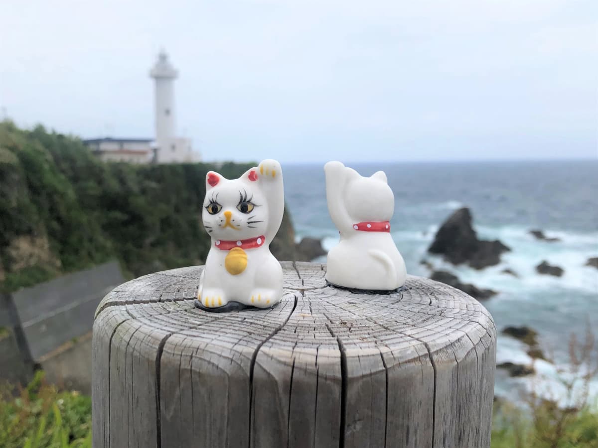 CHUNICHI CULTURE(津中日文化センター) ダンス 津中日文化センター 画像 21