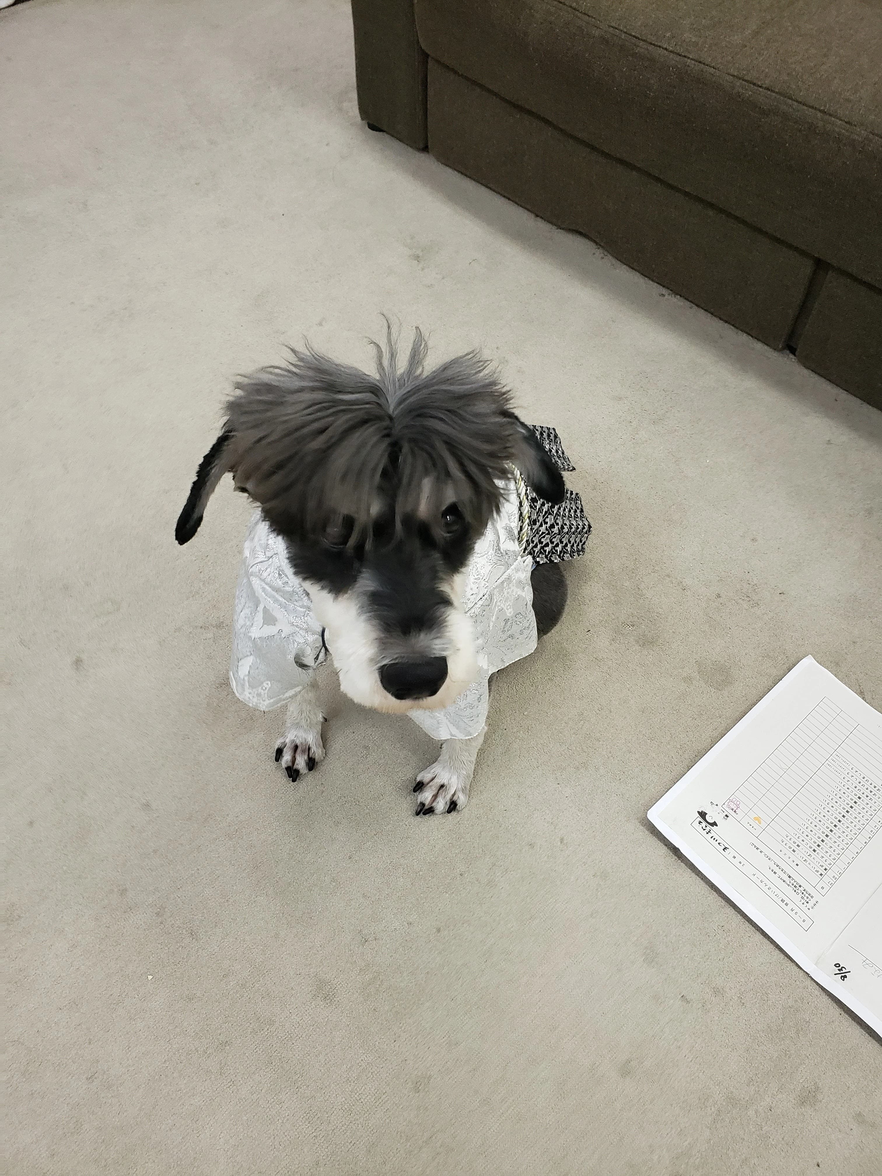 DANCE STUDIO MYSTER(マイスター) HIRAKATAのサムネイル画像 5