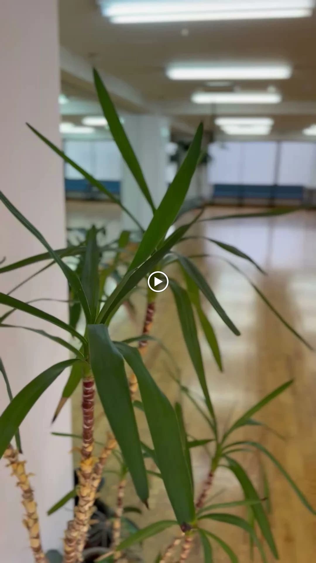 サムネイル画像 3