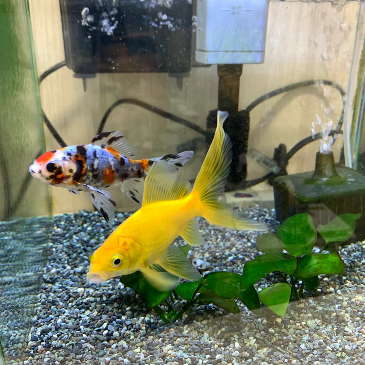 JOYFIT(ジョイフィット) ダンス サザンモール六甲 画像 18