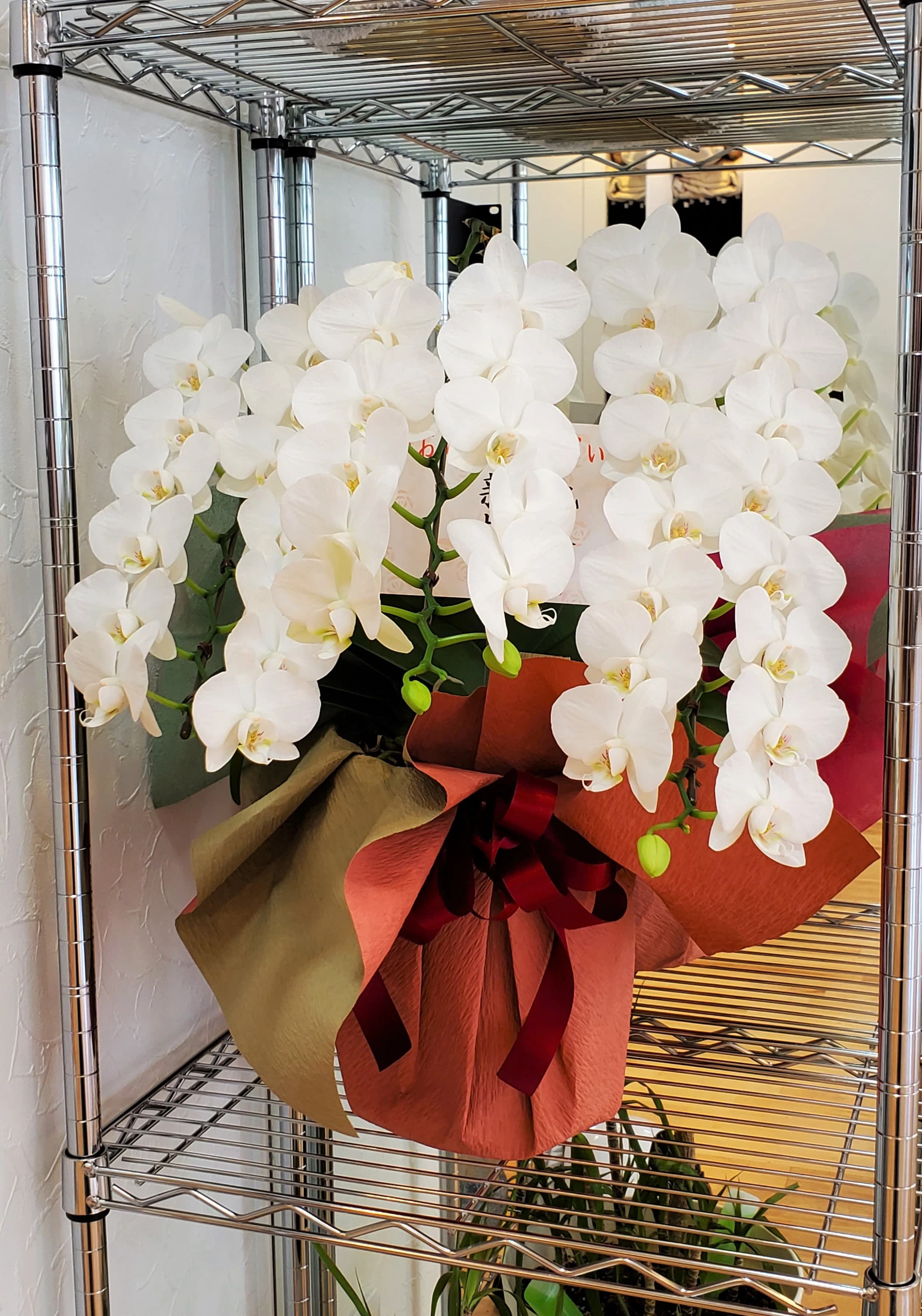 はるかぜ ダンス 業平教室のサムネイル画像 2