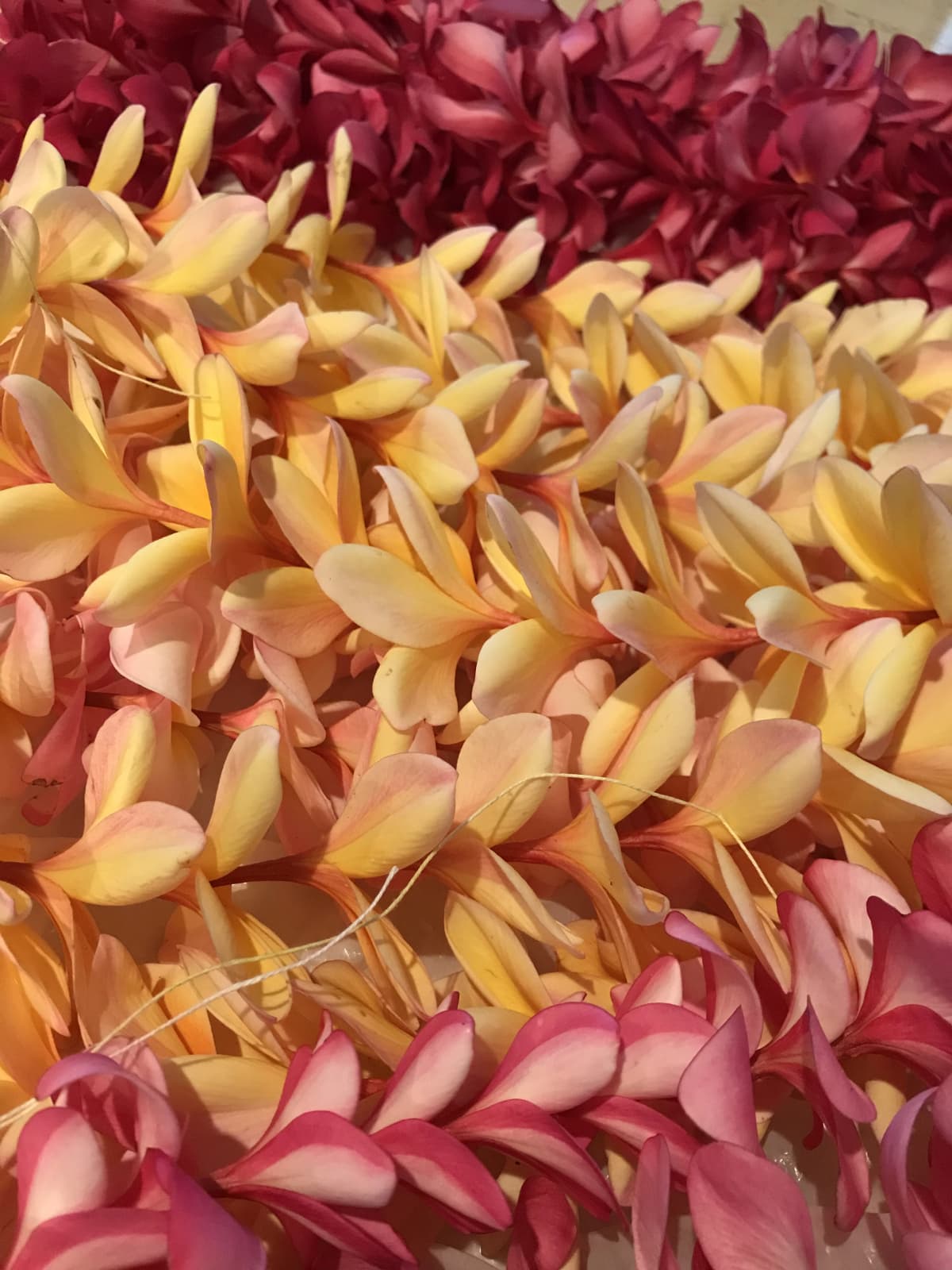 サムネイル画像 3