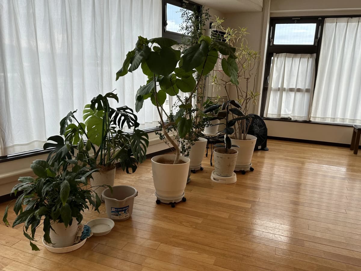 サムネイル画像 5