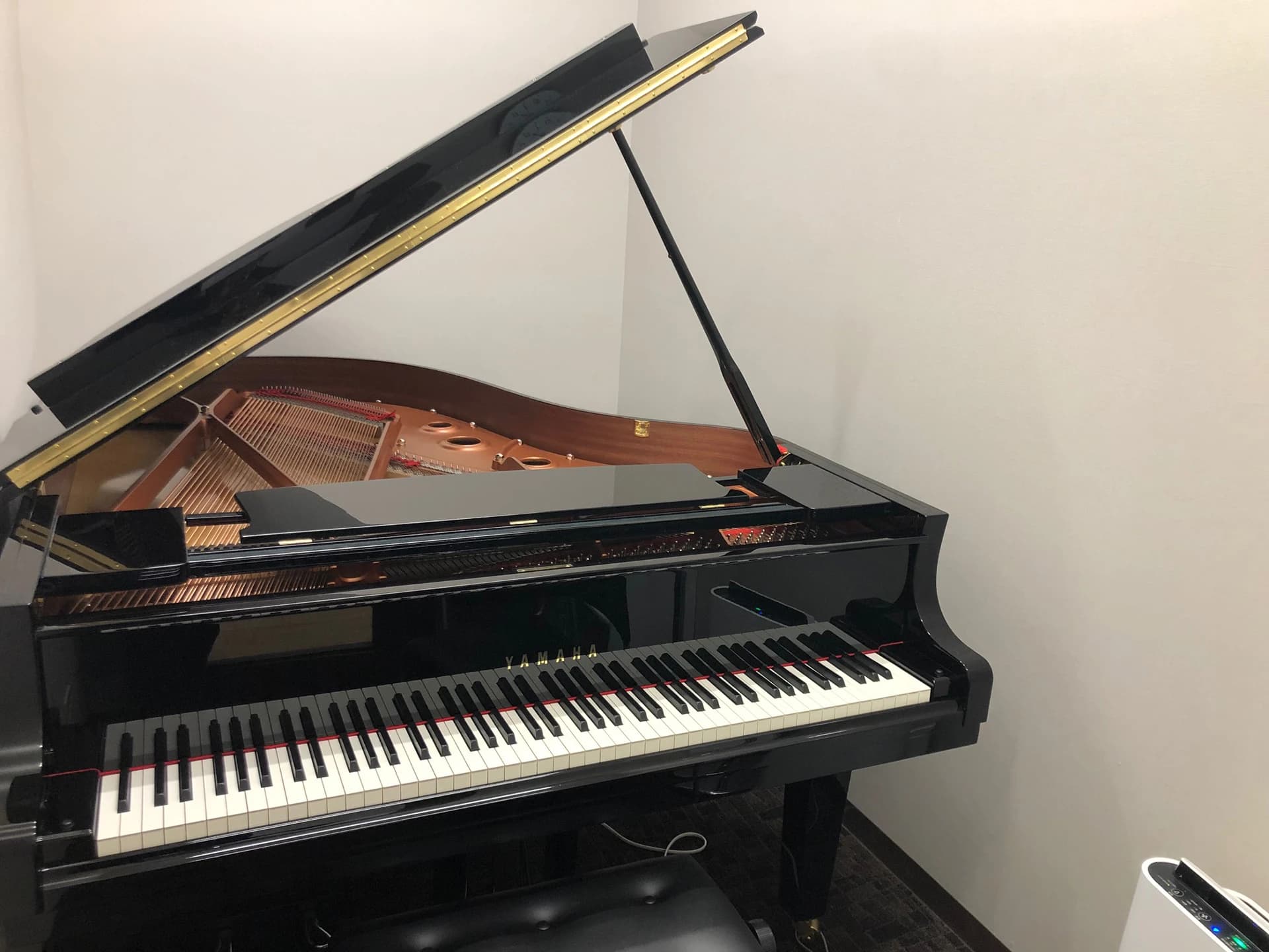 島村楽器の音楽教室 イオンモールむさし村山店 ウクレレのサムネイル画像 4