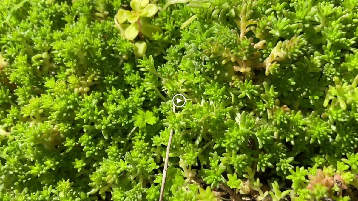 サムネイル画像 5