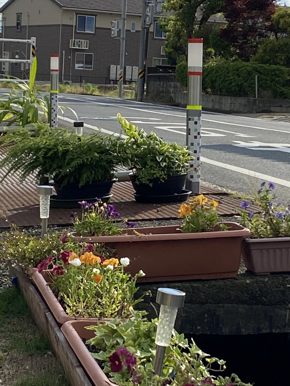 サムネイル画像 6