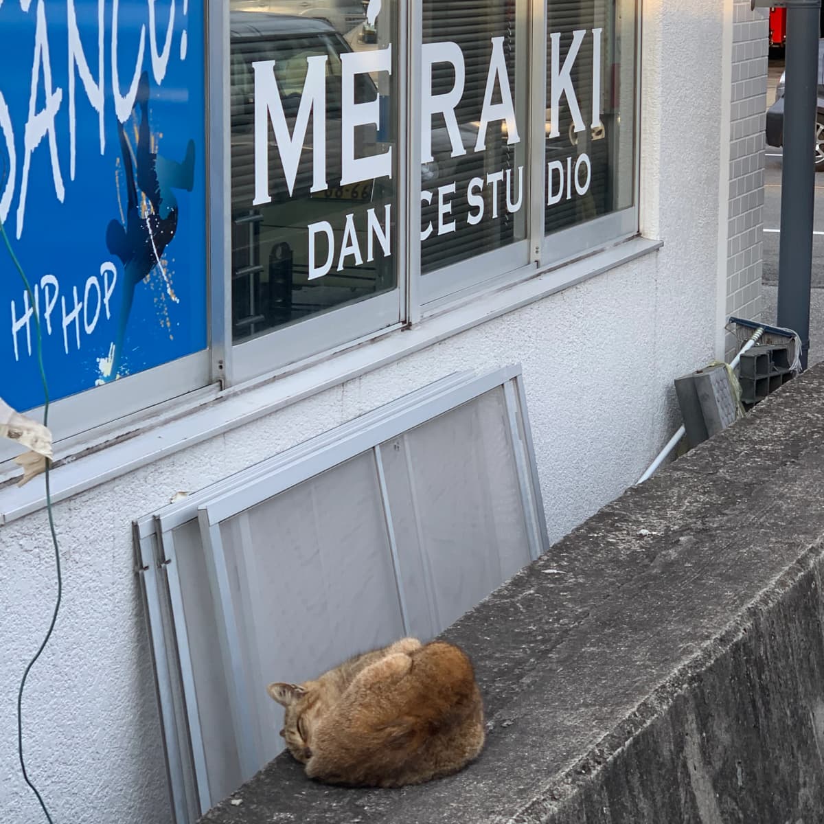 サムネイル画像 4