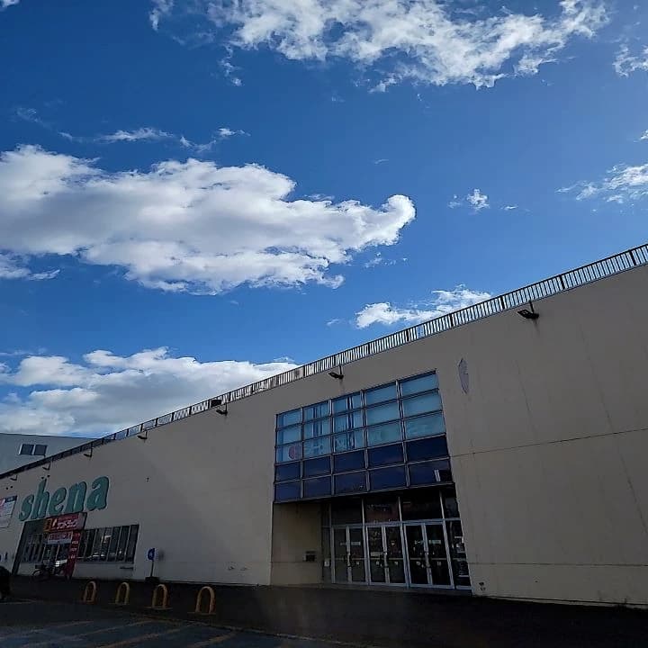 スポーツアカデミー スイミング・水泳 シーナ 画像 20