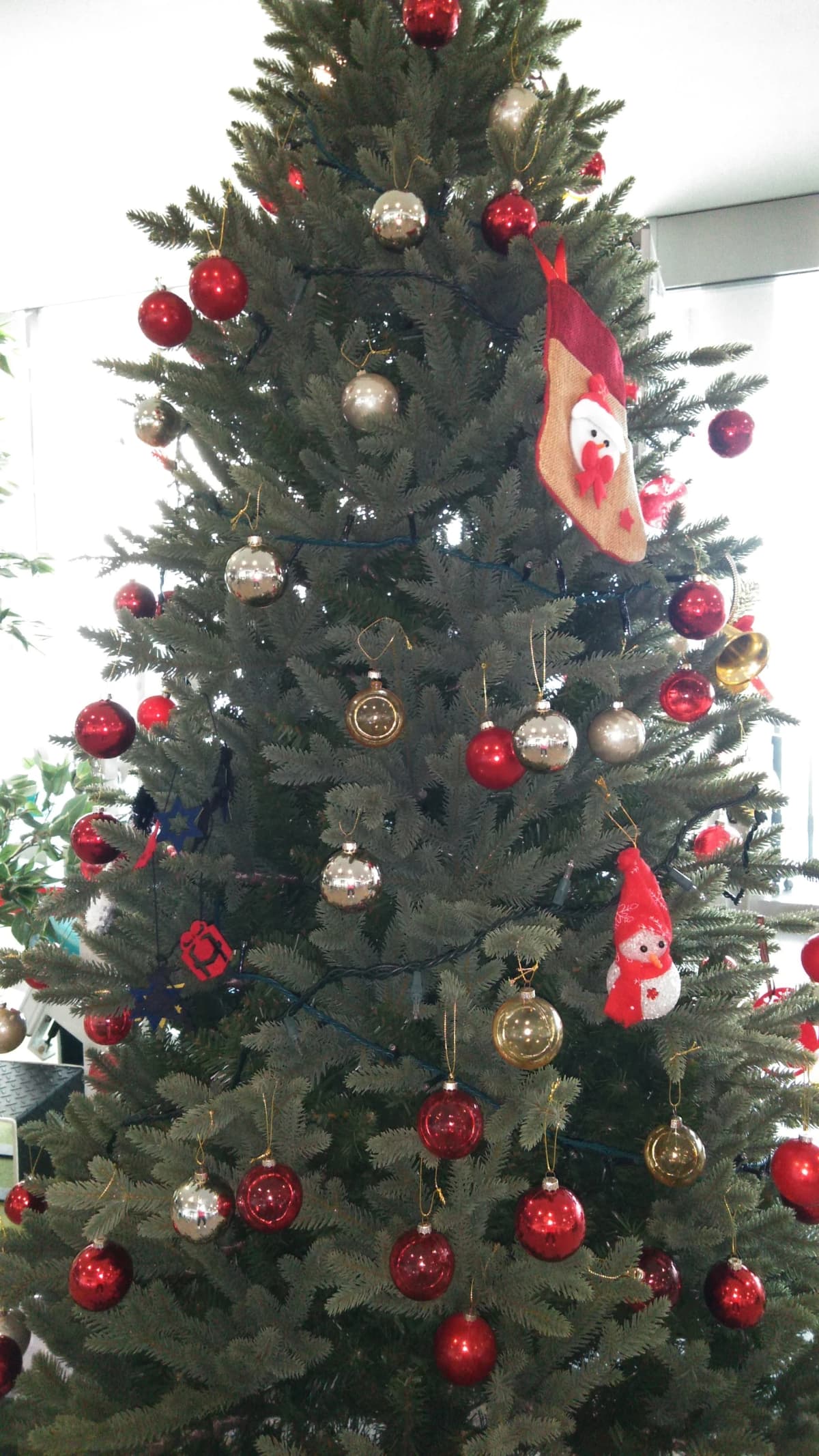 サムネイル画像 4