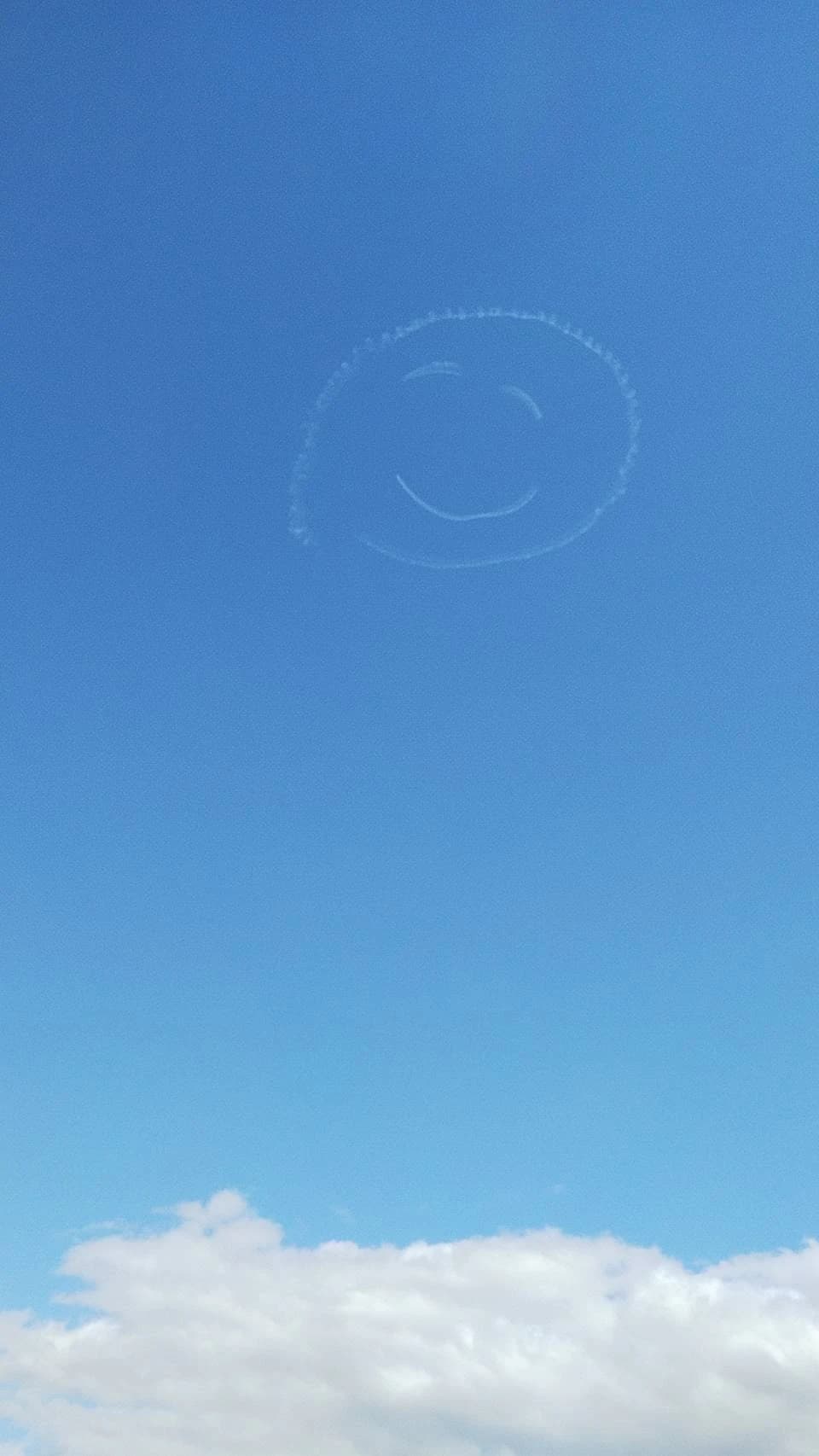 サムネイル画像 5