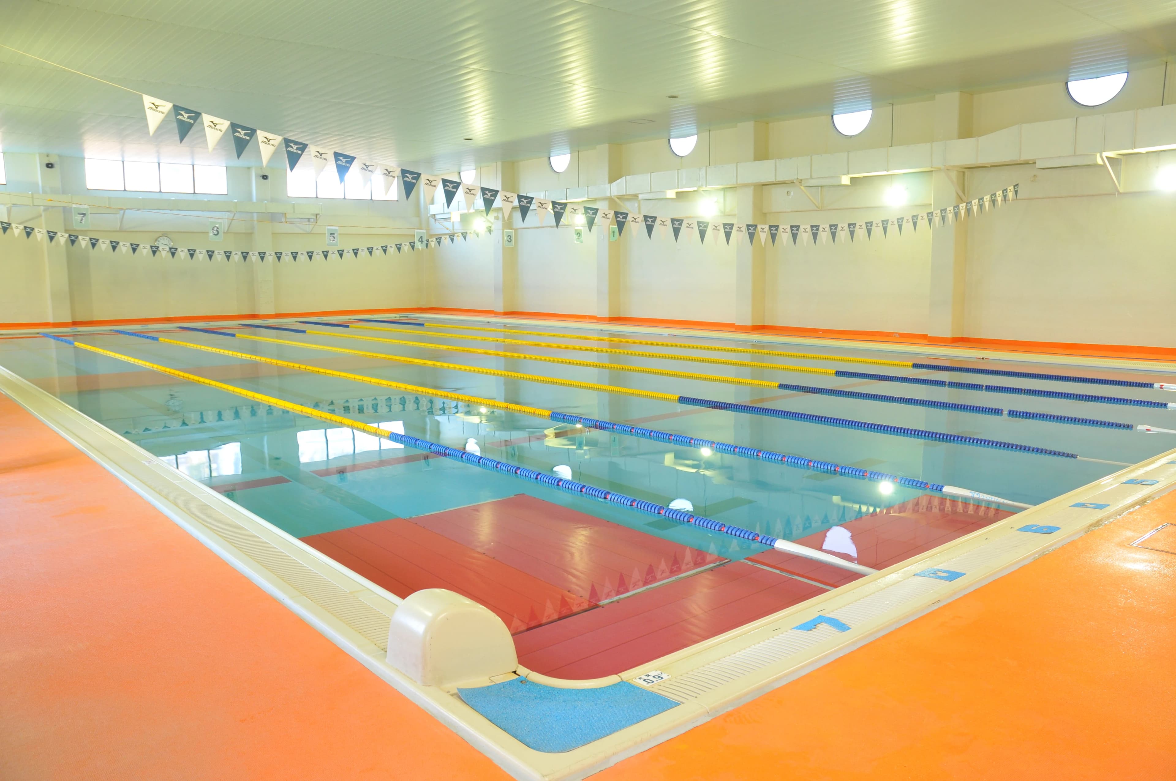 協栄スイミングクラブ 町田のサムネイル画像 5