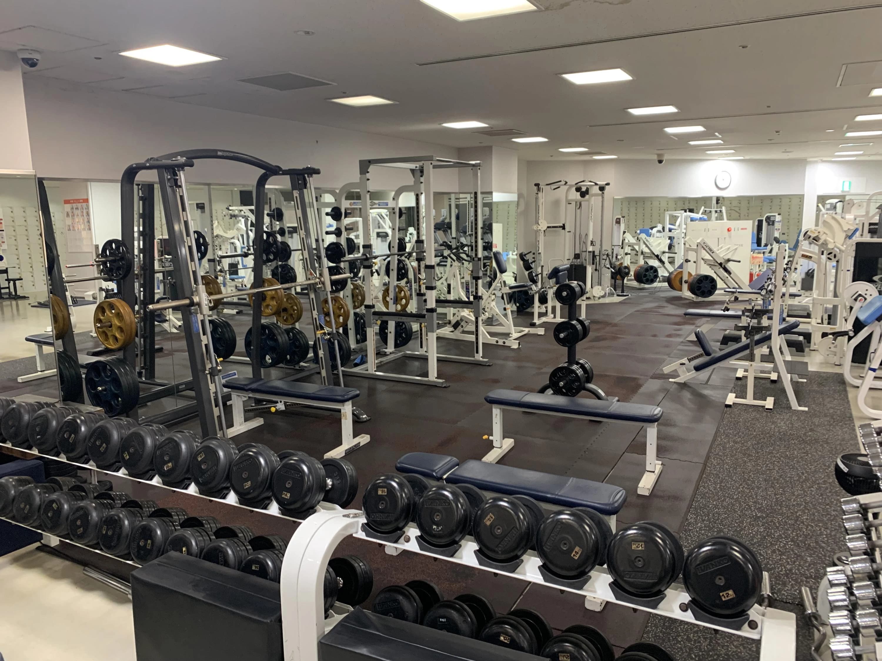 ZAVAS(ザバススポーツクラブ) スイミング・水泳 川崎のメイン画像