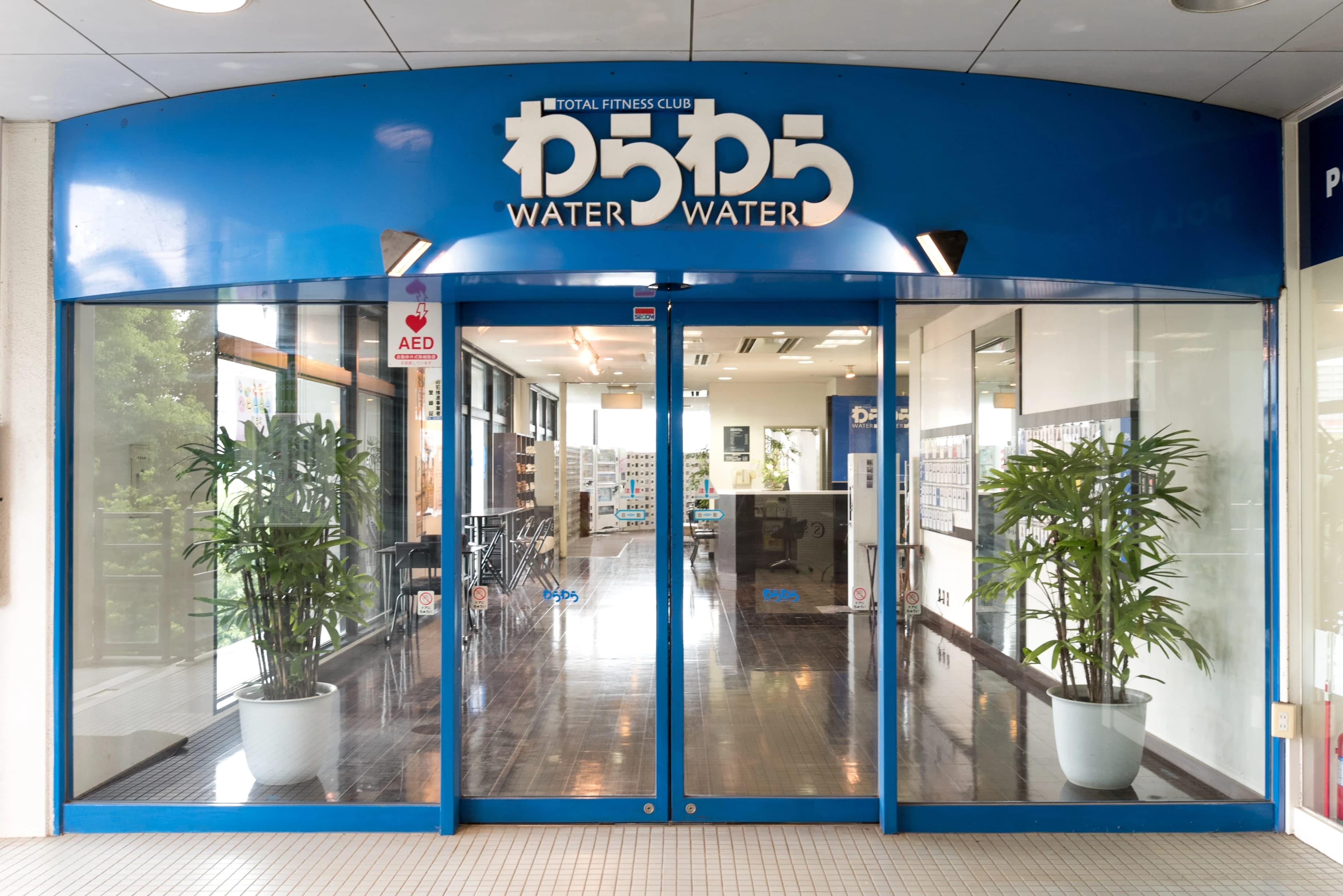 わらわら スイミング・水泳 ふじみ野店のサムネイル画像 5