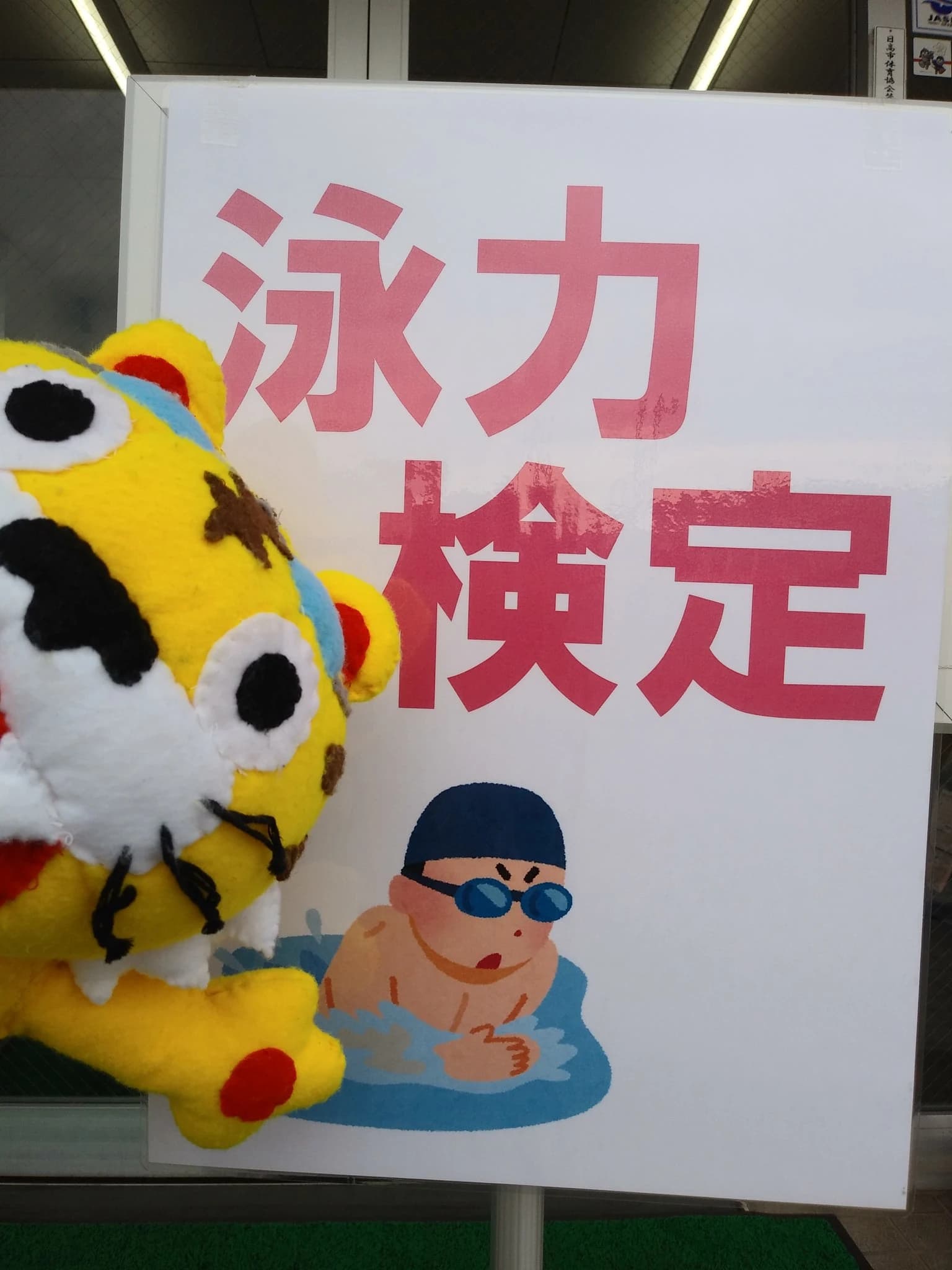 スウィンスイミンググループ スウィン日高スイミングスクールのサムネイル画像 3