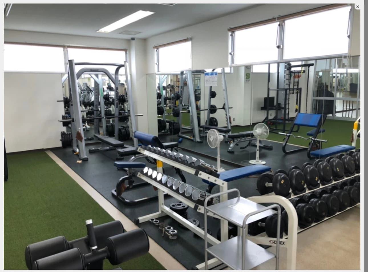 スウィンスイミンググループ スウィン鴻巣スイミングスクールのサムネイル画像 3